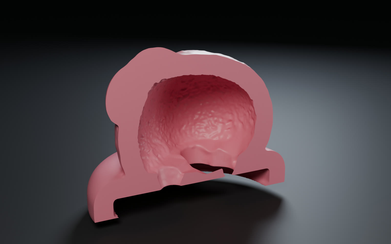 Silicone mold cutaway